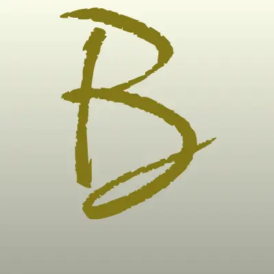 Бюджетная